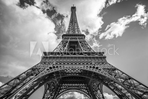 Fototapeta The Eiffel tower, Paris France
