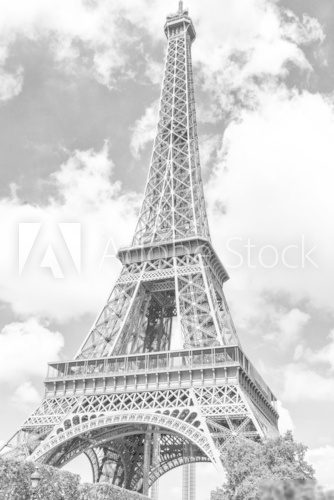 Fototapeta The eiffel tower