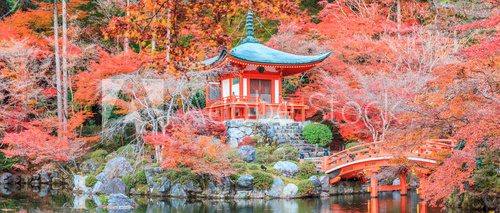 Fototapeta The leave change color of red in Temple japan.