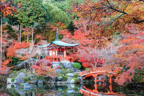Fototapeta The leave change color of red in Temple japan.