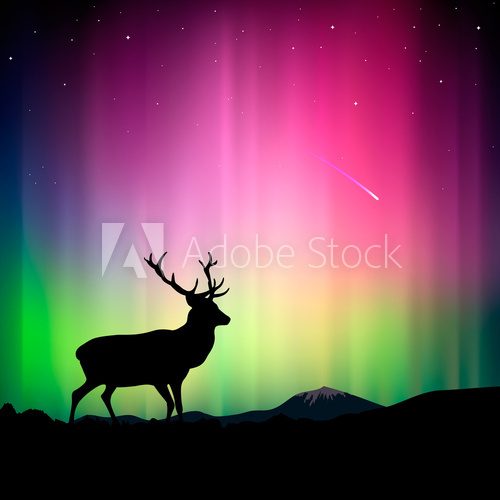 Fototapeta The northern lights with a deer, vector Eps10 illustration.