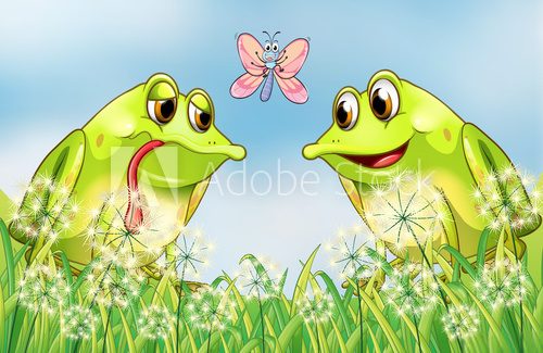 Fototapeta The two frogs and the butterfly