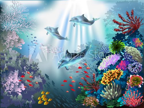 Fototapeta The underwater world with dolphins and plants 