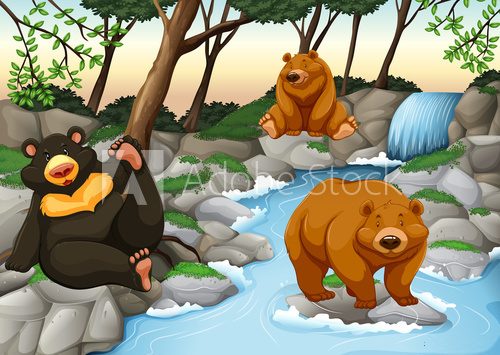Fototapeta Three bears living by the waterfall