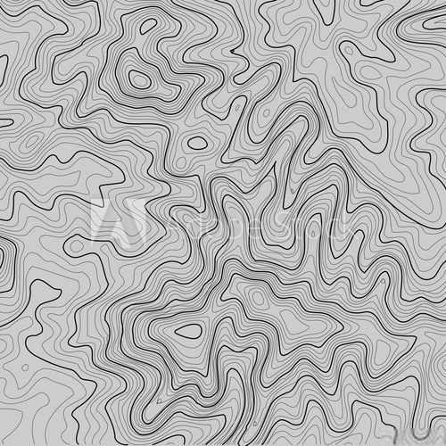 Fototapeta Topographic map background with space for copy . Line topography map contour background , geographic grid abstract vector illustration . Mountain hiking trail over terrain .
