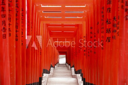 Fototapeta Torii Gates At Hie Shrine, Tokyo, Japan