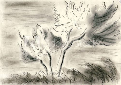 Fototapeta Trees by the seashore - Charcoal drawing