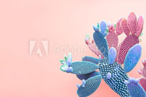 Fototapeta Trendy tropical Green Neon Cactus on coral Color background. Fashion Minimal Art Concept. Creative Style. Cacti colorfull fashionable mood