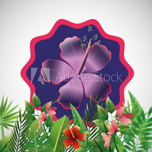 Fototapeta Tropical flower design. floral icon. natural concept, vector illustration