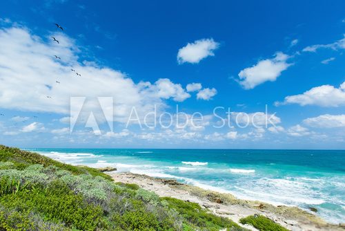 Fototapeta  tropical sea