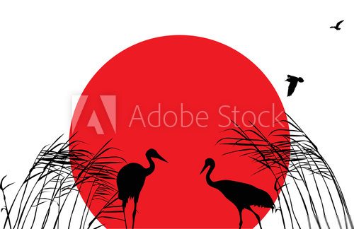 Fototapeta two cranes in rush at sunset