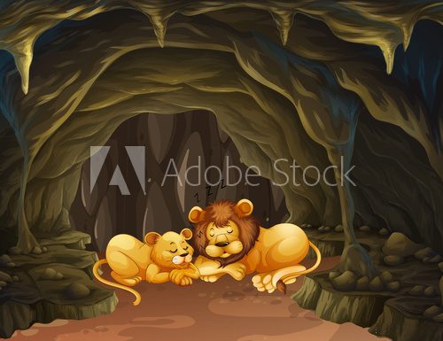 Fototapeta Two lions sleeping in the cave
