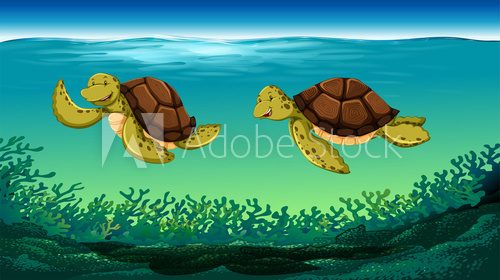 Fototapeta Two turtles swimming under the sea