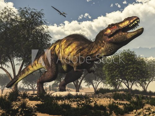 Fototapeta Tyrannosaurus rex dinosaur protecting its eggs - 3D render