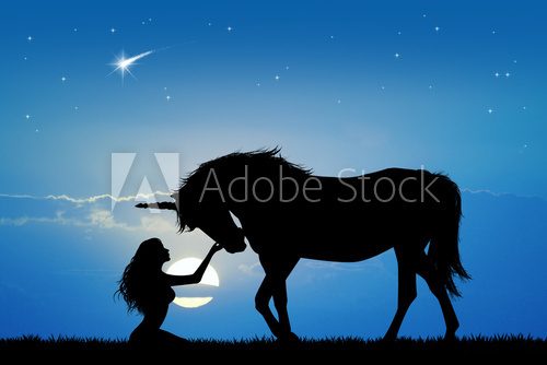 Fototapeta unicorn and girl