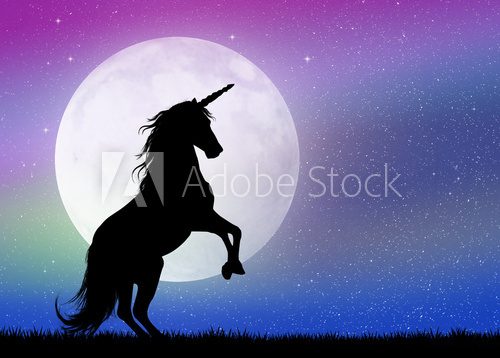 Fototapeta unicorn in the moonlight
