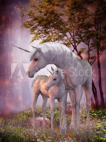 Fototapeta Unicorn Mare and Foal