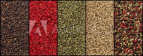 Fototapeta varieties of pepper: black, red, green, white and mixed