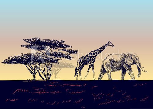 Fototapeta Vector background of the African landscape