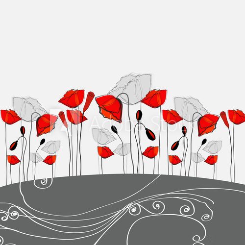 Fototapeta Vector beautiful poppies background illustration