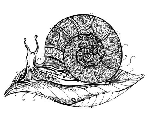Fototapeta Vector illustration of a totem animal Snail on leaf in black and