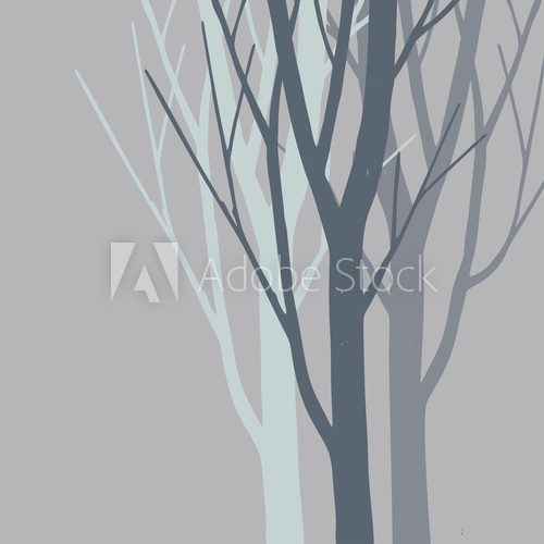 Fototapeta Vector silhouette of trees.