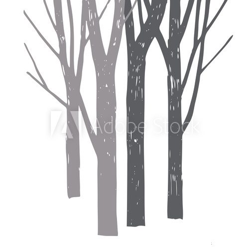 Fototapeta Vector silhouette of trees.