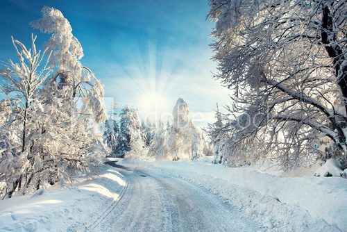 Fototapeta verschneite Strasse im Winter