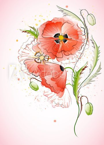 Fototapeta Vertical Background with Red Poppy