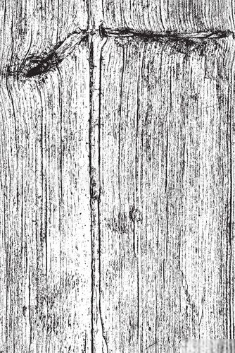 Fototapeta Vertical Dry Wood