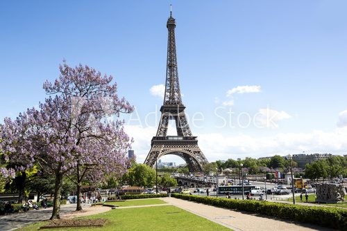 Fototapeta View of eiffel tower in Paris, France 