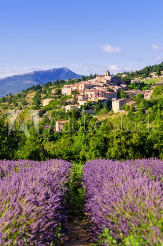 Fototapeta village in provence