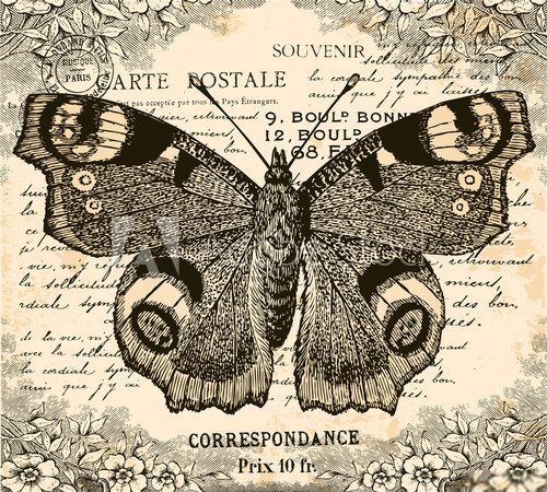 Fototapeta Vintage Butterfly