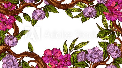 Fototapeta Vintage colorful floral frame