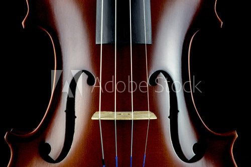 Fototapeta Violin Body Middle Section View on a Black Background