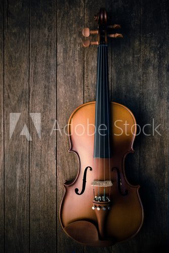 Fototapeta Violin on wood background. Top view.