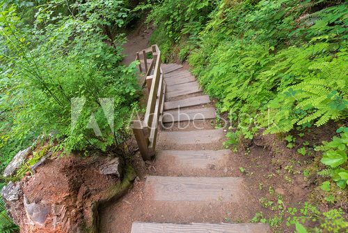 Fototapeta Wahclella Falls Wooden Stairs