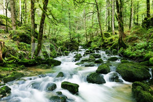 Fototapeta Wasserfall im Wald