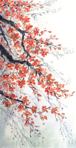 Fototapeta Watercolor painting. Branches of blossoms cherry