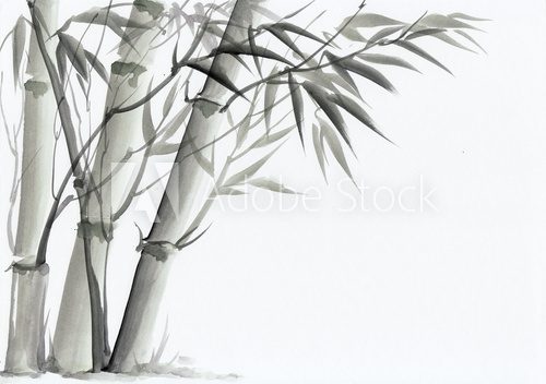 Fototapeta Watercolor painting of bamboo