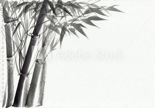 Fototapeta Watercolor painting of bamboo