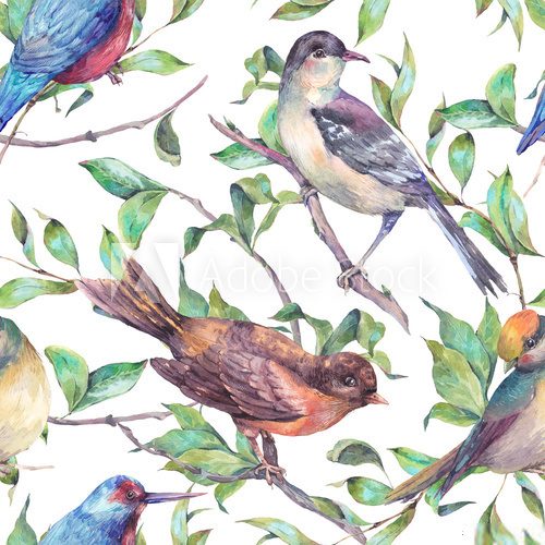 Fototapeta Watercolor seamless pattern, birds on a branch
