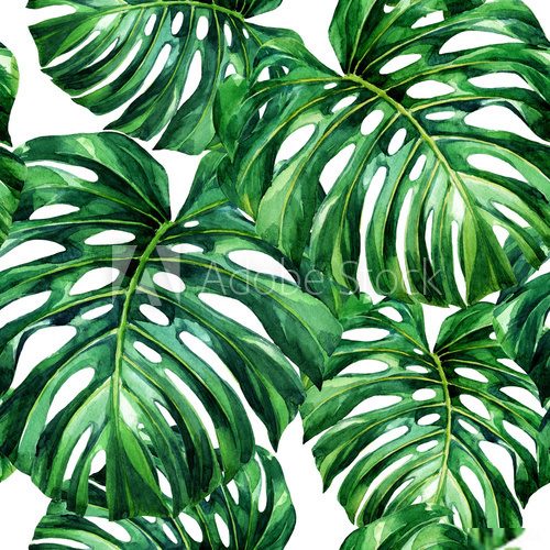 Fototapeta Watercolor seamless pattern of tropical leaves.