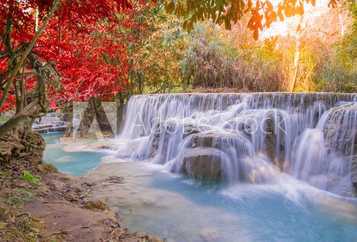 Fototapeta Waterfall in rain forest (Tat Kuang Si Waterfalls at Luang praba