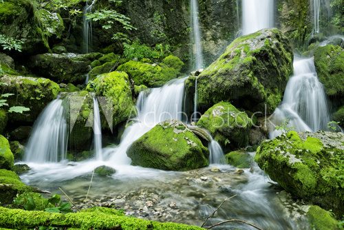 Fototapeta Waterfall in the forest