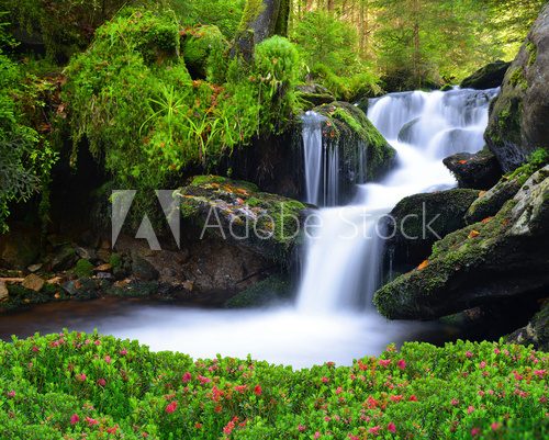 Fototapeta Waterfall in the national park Sumava-Czech Republic