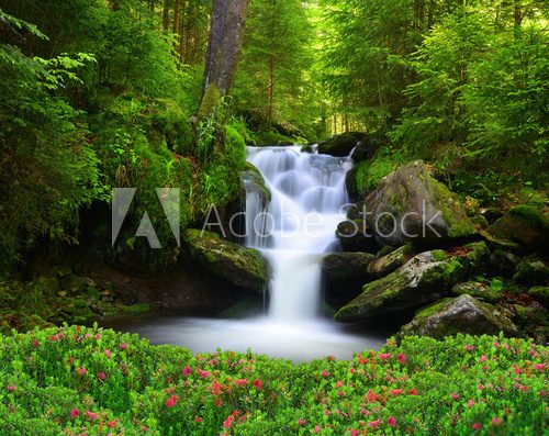 Fototapeta Waterfall in the national park Sumava-Czech Republic