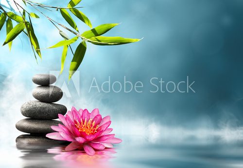 Fototapeta waterlily with stones and bamboo