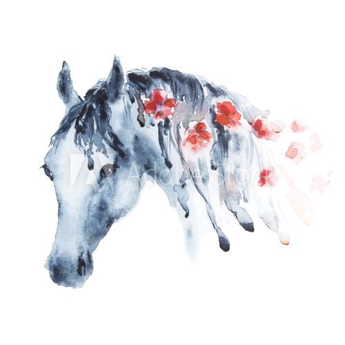 Fototapeta Wet watercolor horse head with red flowers in mane. Beautiful hand drawing illustration on white.