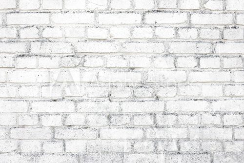 Fototapeta white brick background